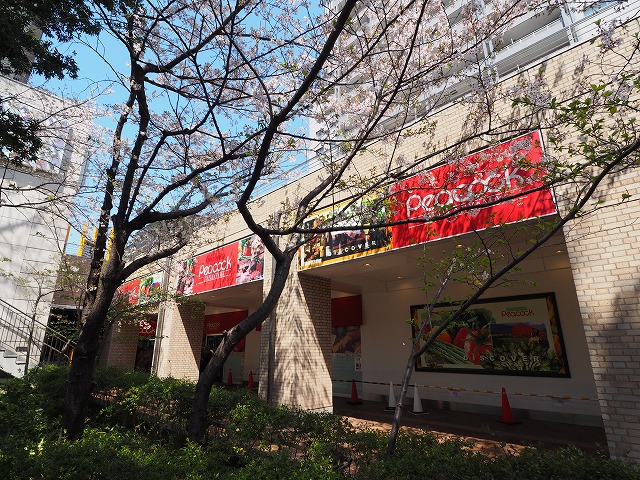 ＥＮｅｔｉａｌ代官山 ﾋﾟｰｺｯｸｽﾄｱ 代官山店