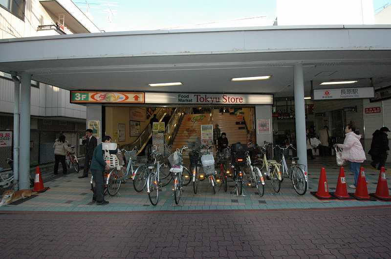 ヴォーガコルテ長原 ｻﾞ･ﾀﾞｲｿー 長原東急ｽﾄｱ店